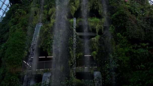 싱가포르만의 정원에 있는 구름 숲의 인상적 인 폭포 — 비디오