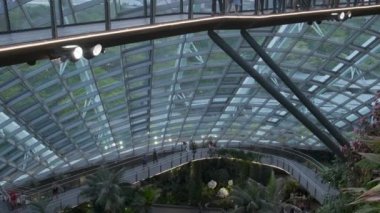 Ziyaretçiler, Singapur Körfezi yakınlarındaki Bahçelerde Bulut Ormanı manzaralarının keyfini çıkarıyorlar.