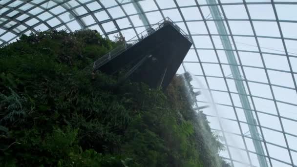 SINGAPUR - 8 de enero de 2020: invernadero en Gardens by the Bay, The Cloud Mountain — Vídeo de stock