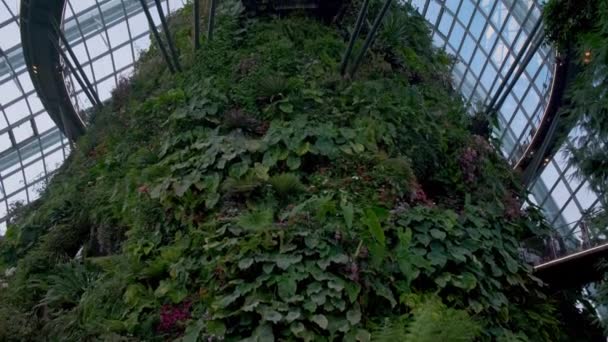 싱가포르만의 정원에 있는 운무 림의 내부 모습 — 비디오