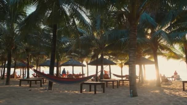 Plaża morska luksusowego hotelu z palmami, leżakami i wczasowiczami — Wideo stockowe