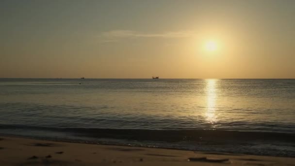 피쳐 스 케 조경. 파도에 씻겨 내려온 샌디 해변 — 비디오