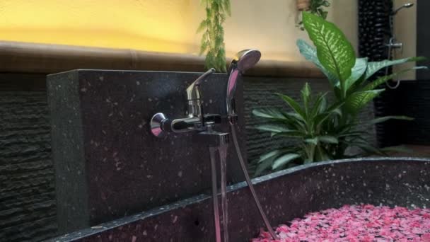 Banyo ve gül yapraklı egzotik spa salonu — Stok video