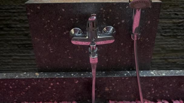 Spa, varmt vand hældes i badet med rosenblade – Stock-video