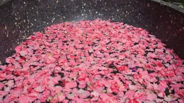 エキゾチックなスパサロンで花と一緒にお風呂をリラックス — ストック動画