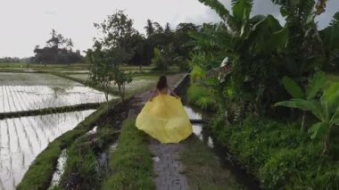 Güzel bir kadın pirinç tarlaları yolunda koşuyor.