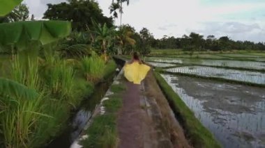 Bali 'de pirinç tarlalarında koşan bir kadın