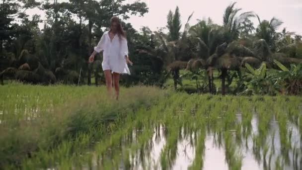 Szórakozás és futás. Mezítláb boldog lány és rizs mezők — Stock videók