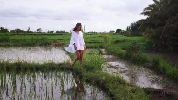 Donna sta camminando su risaie con riso in crescita, viaggi esotici — Video Stock