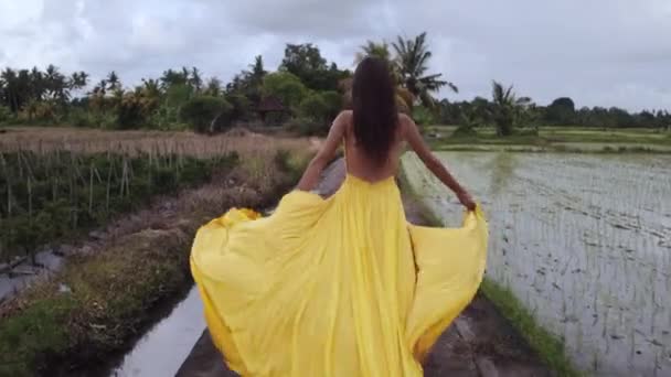 Vakker kvinne løper på rismarker om morgenen – stockvideo