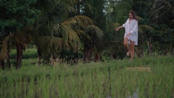 Attraente femmina sta camminando o saltando da sentiero in campo di riso verde — Video Stock