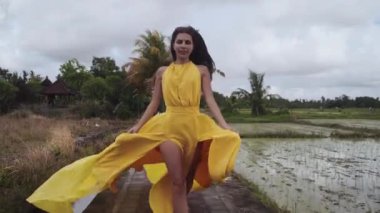 Pirinç tarlalarındaki güzellik ve zarafet