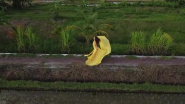 Muhteşem dişi pirinç tarlasında dönüyor.