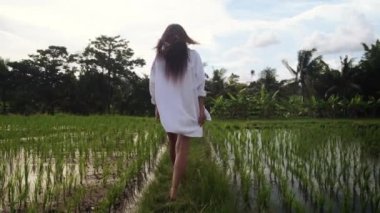 Tanımlanamayan bir kadın pirinç tarlasında yürüyüş yapıyor.