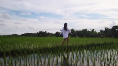Çekici kadın yeşil pirinç tarlasında koşuyor.