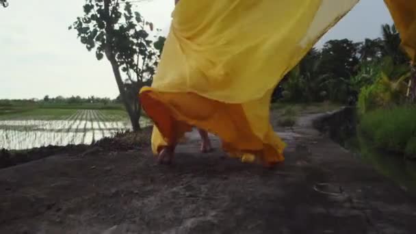 認識できない女が田んぼの道を歩いている — ストック動画