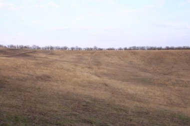 Nehir ve gölü olan güzel bir manzara.