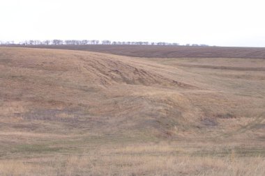 Manzara, çimen ve ağaçlar bir tarlada bir tepenin üzerinde