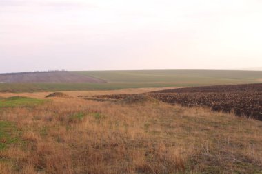 Çimen tarlası, sonbahar zamanı