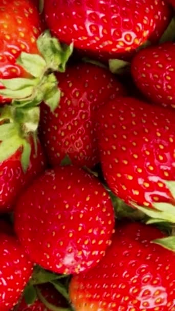클로즈업 맛있는 추수용 딸기의 건강에 식품에 — 비디오