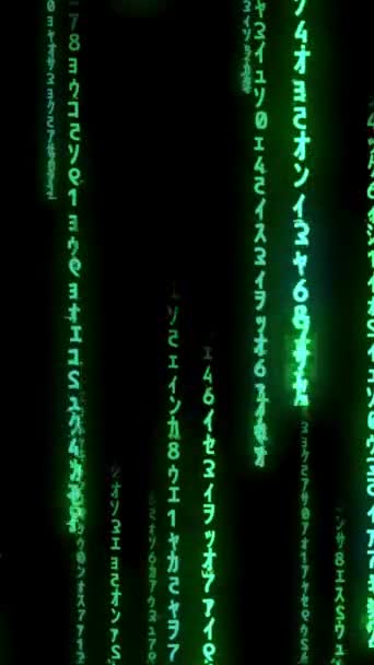 Kode Biner Keamanan Cyber Teknologi Konsep Data Konsep Pemrograman Coding — Stok Video