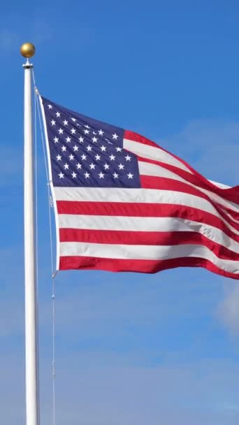 Bendera Amerika Dikibarkan Hari Yang Cerah Usa Tanda Vertikal — Stok Video