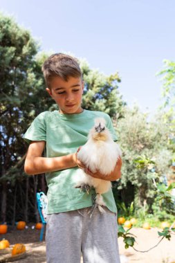 Genç bir çocuk bir çiftlikte beyaz tüylü, ipeksi bir tavuk tutuyor.