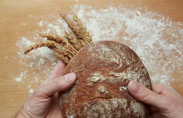 taze ekmek ve bir fırıncı nın elinde