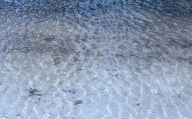 Arka plan açık nehir su küçük dalgalar ile. Saf Açık Mavi Göl su