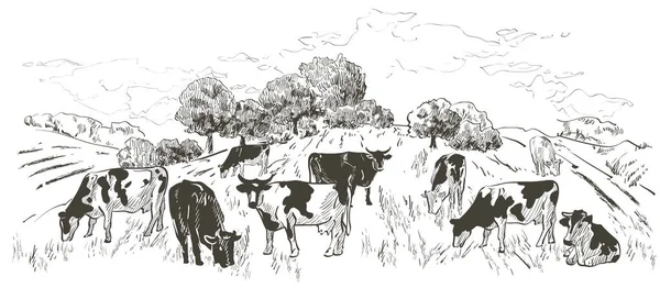 Paysage avec troupeau de vaches, veaux, champ — Image vectorielle
