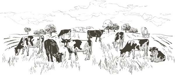 Ландшафт со стадом коров, телят, полей — стоковый вектор