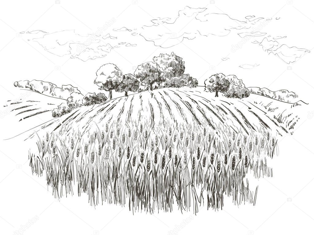 Rural landscape field wheat, Old Barn, house, trees, windmills, animals, cows, silage tower, plants, fences and other elements, forest panorama. Hand drawn vector Countryside engraving