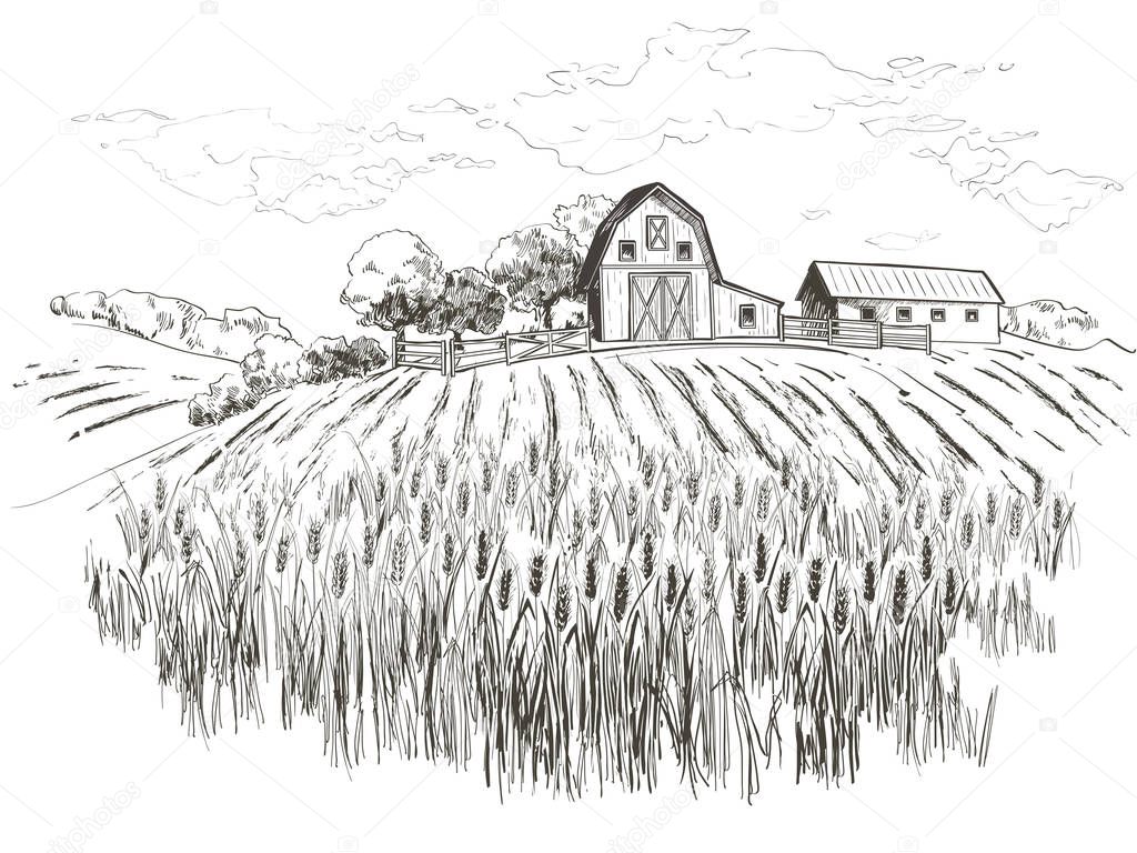 Rural landscape field wheat, Old Barn, house, trees, windmills, animals, cows, silage tower, plants, fences and other elements, forest panorama. Hand drawn vector Countryside engraving