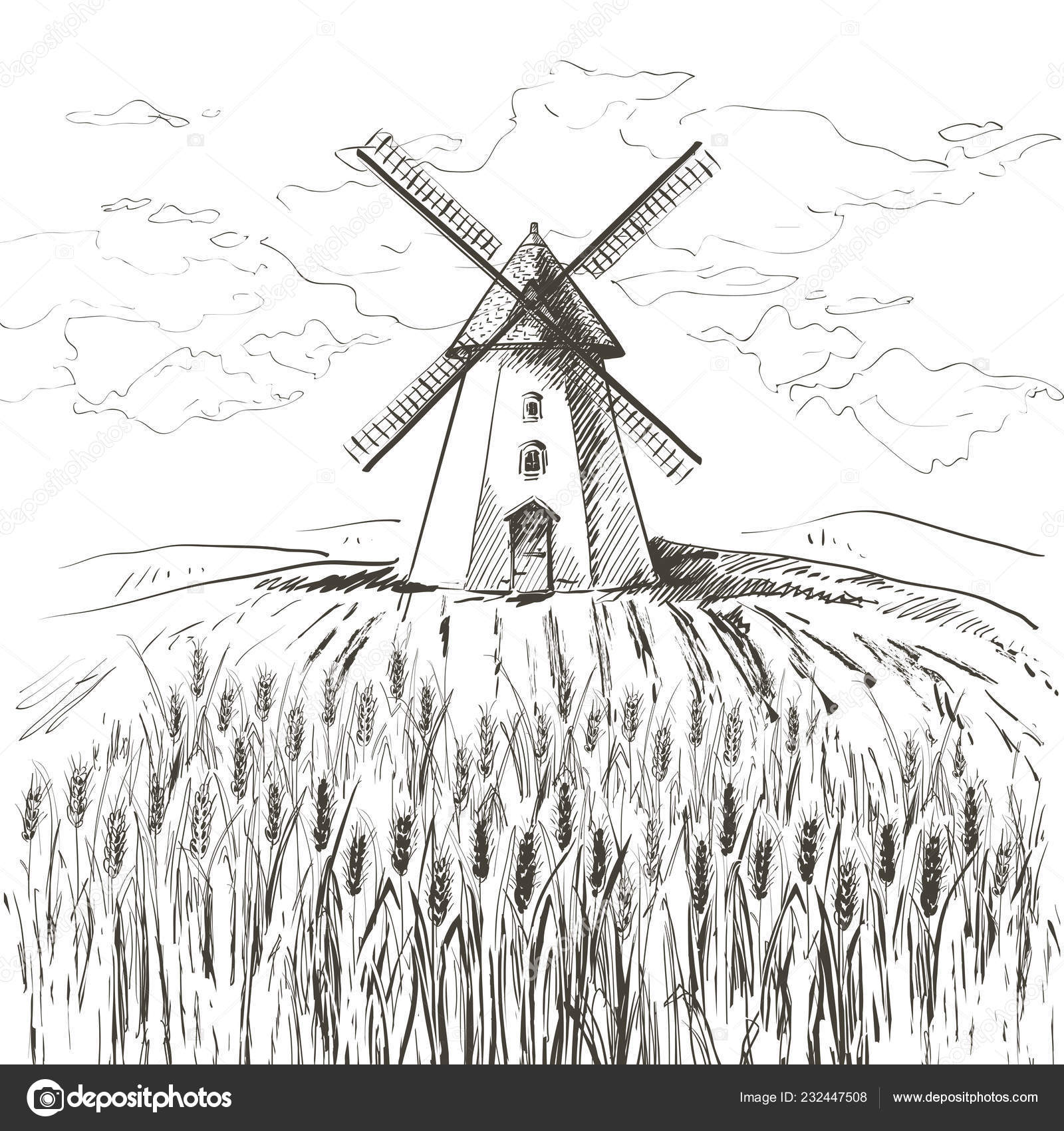 Rural Landscape Field Wheat Hand Drawn Vector Countryside