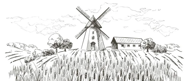 Wiejski krajobraz pole pszenicy. Ręcznie rysowane wektor wiejski krajobraz Grawerowanie styl ilustracji. — Wektor stockowy