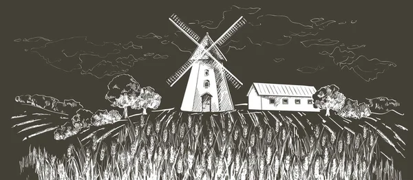 Сельский пейзаж поля пшеницы. Ручная рисованная векторная гравировка ландшафта . — стоковый вектор