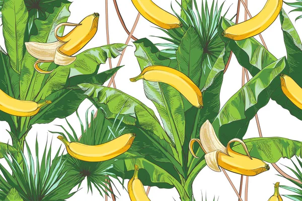 Vektor tropischen Bananen Palme, texturierte nahtlose Muster. — Stockvektor