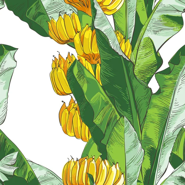 Vector Plátanos tropicales de palma, patrón sin costuras texturales . — Archivo Imágenes Vectoriales