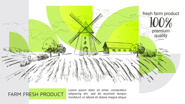 荷兰乡村景观与风车和麦田。一套传统的风车。烘焙店、有机农业生产、生态食品。矢量手绘复古雕刻素描。-向量 — 图库矢量图片