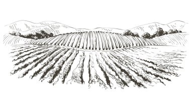 Vine hills landscape. Vector line sketch illustration clipart