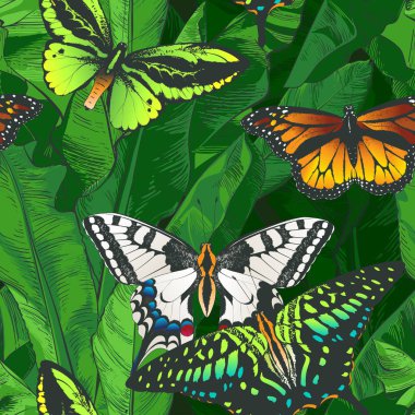 Vektör tropikal muz palmiye, dokusal seamless modeli.