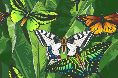 Vektör tropikal muz palmiye, dokusal seamless modeli.