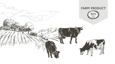 Grafik çizgi tarzında Cow, el çizim vektör görüntü