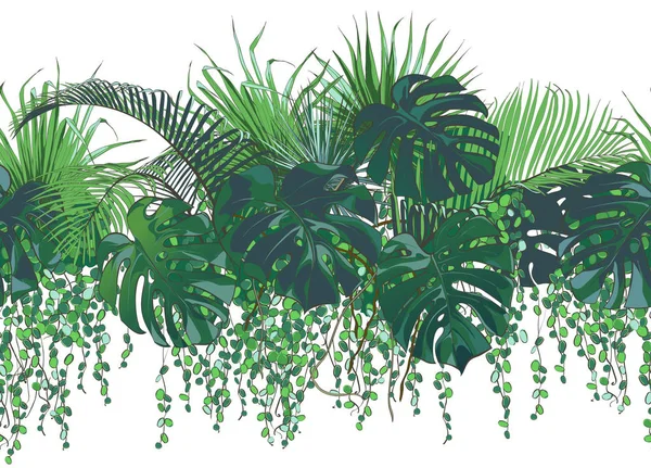 Palme tropicali vettoriali, piante, foglie, fogliame, monstera — Vettoriale Stock