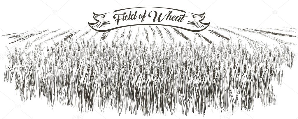 Rural landscape field wheat, Old Barn, house, trees, windmills, animals, cows, silage tower, plants, fences and other elements, forest panorama. Hand drawn vector Countryside engraving