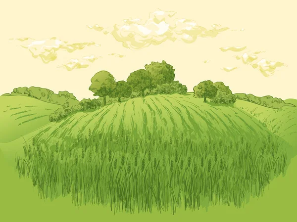 Paisaje rural campo trigo. Vector dibujado a mano Campo paisaje grabado estilo ilustración . — Vector de stock