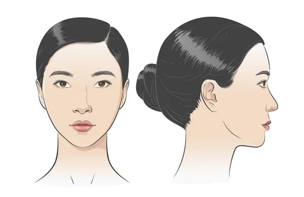 Asiatische koreanische Frauen porträtieren dreidimensionale Blickwinkel. Vektorillustration — Stockvektor