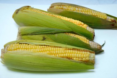 Hasattan sonra mısırın beyaz arka planda izole edilmiş görüntüsünü kapat.