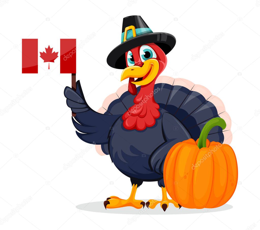 Happy Thanksgiving Day. Funny Thanksgiving Turkey bird cartoon character standing near pumpkin and holding Canadian flag. Vector illustration on white background