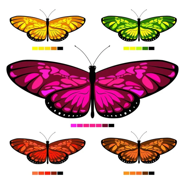 Watercolor Vector Butterfly Set Palette Children Coloring Book Colors Butterflies — Stock Vector